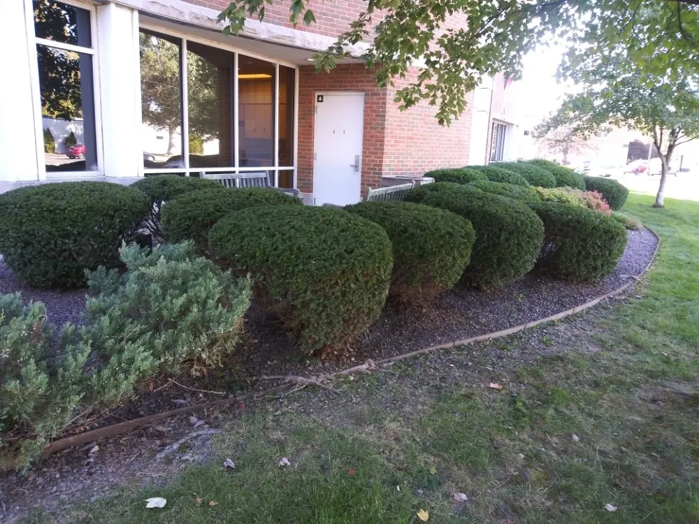 Reliable yard maintenance experts serving Evansville, IN - JS Landscape