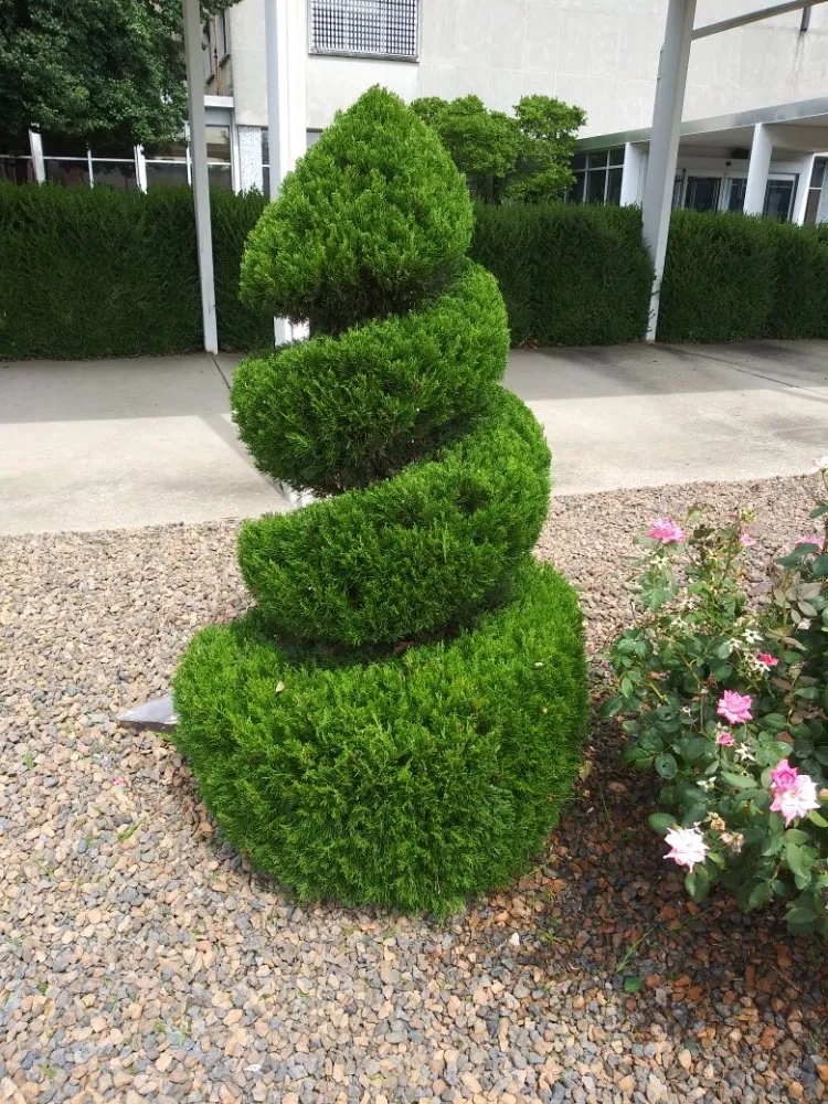 Top-rated outdoor landscaping experts serving Evansville, IN - JS Landscape