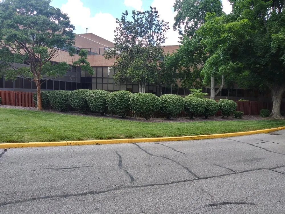 Local yard cleanup service in Evansville, IN by JS Landscape