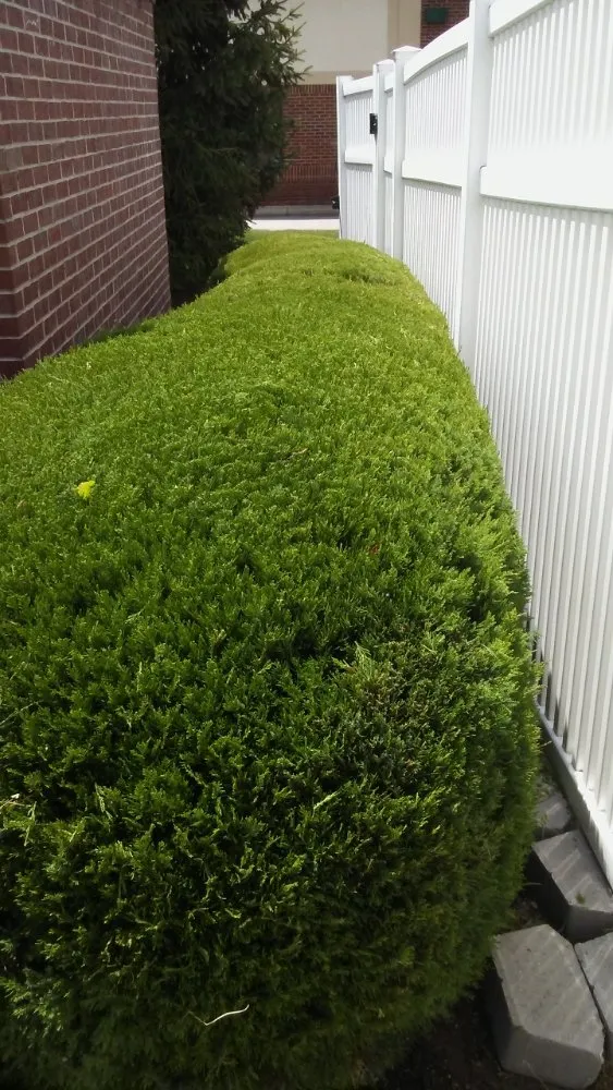 Professional outdoor landscaping experts serving Evansville, IN - JS Landscape