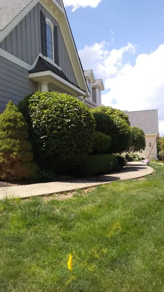 Trusted lawn mowing service for beautiful yards across Evansville, IN - JS Landscape