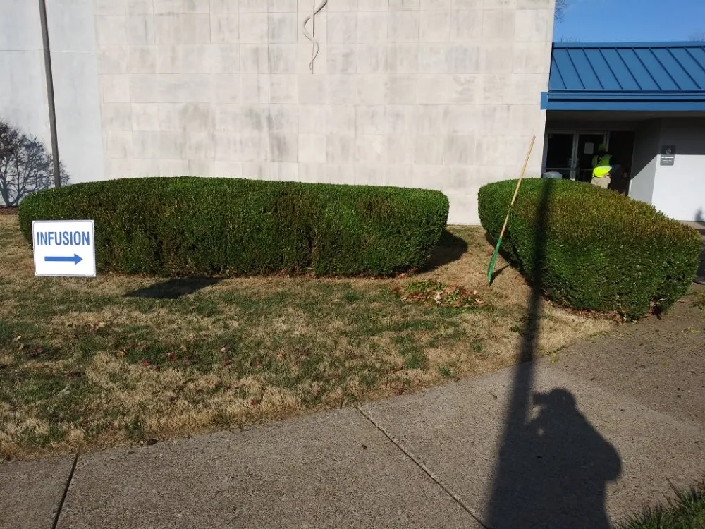Custom yard cleanup service in Evansville, IN by JS Landscape