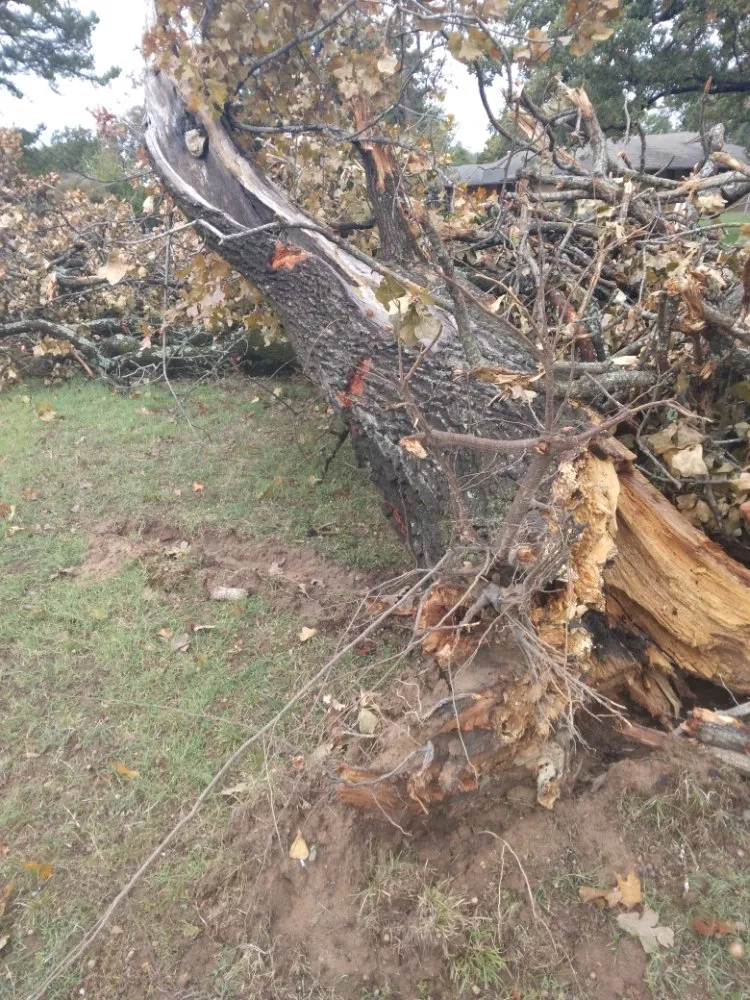 Local lawn mowing service in Henryetta, OK by J's Landscape