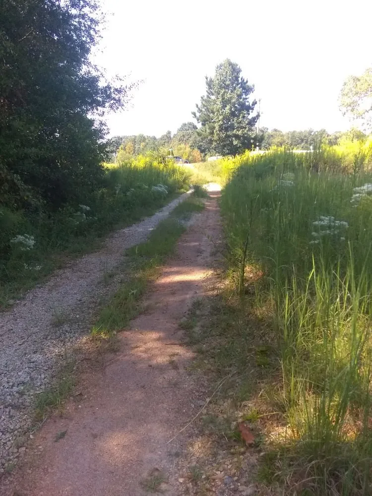 Local landscaping services for year-round maintenance in Gainesville, GA by J's Landscape Service