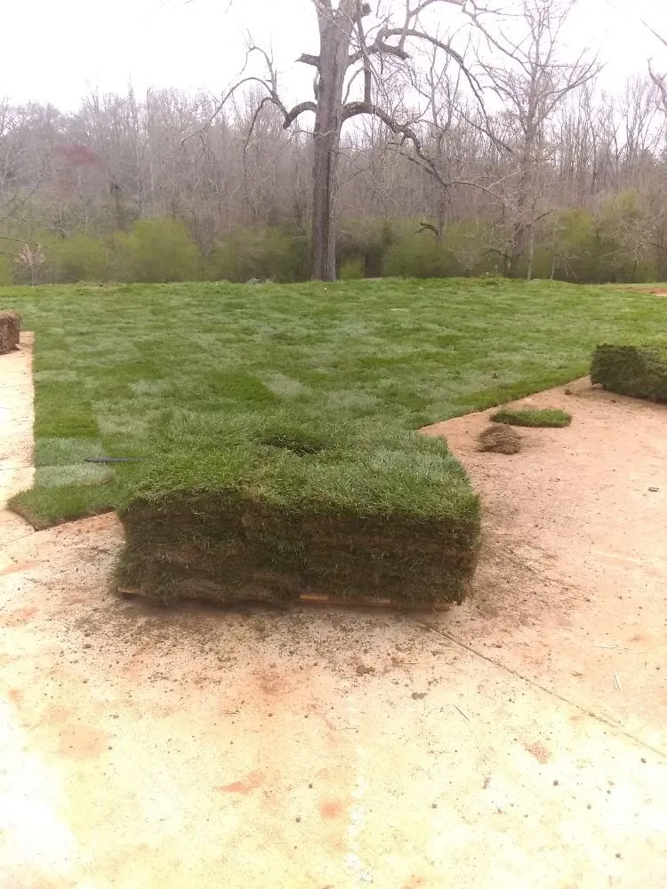 Local residential landscaping experts serving Gainesville, GA - J's Landscape Service