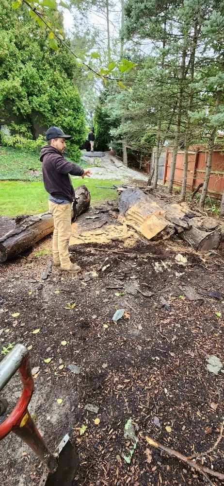 Expert outdoor landscaping for beautiful yards across Danbury, CT - JS Landscaper