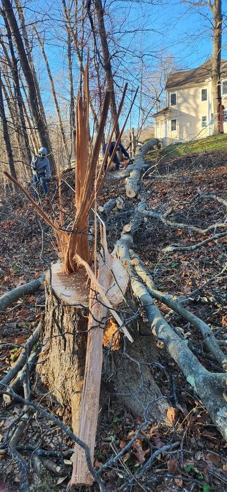 Affordable landscaping services for residential properties across Danbury, CT - JS Landscaper