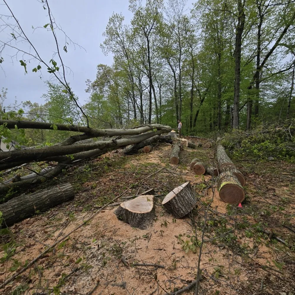 Reliable landscape design for outdoor upgrades in Danbury, CT by JS Landscaper