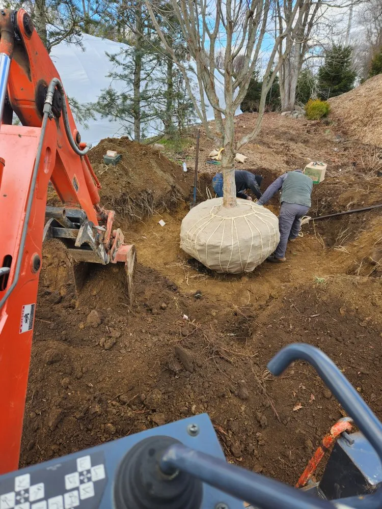 Affordable yard maintenance experts serving Danbury, CT - JS Landscaper