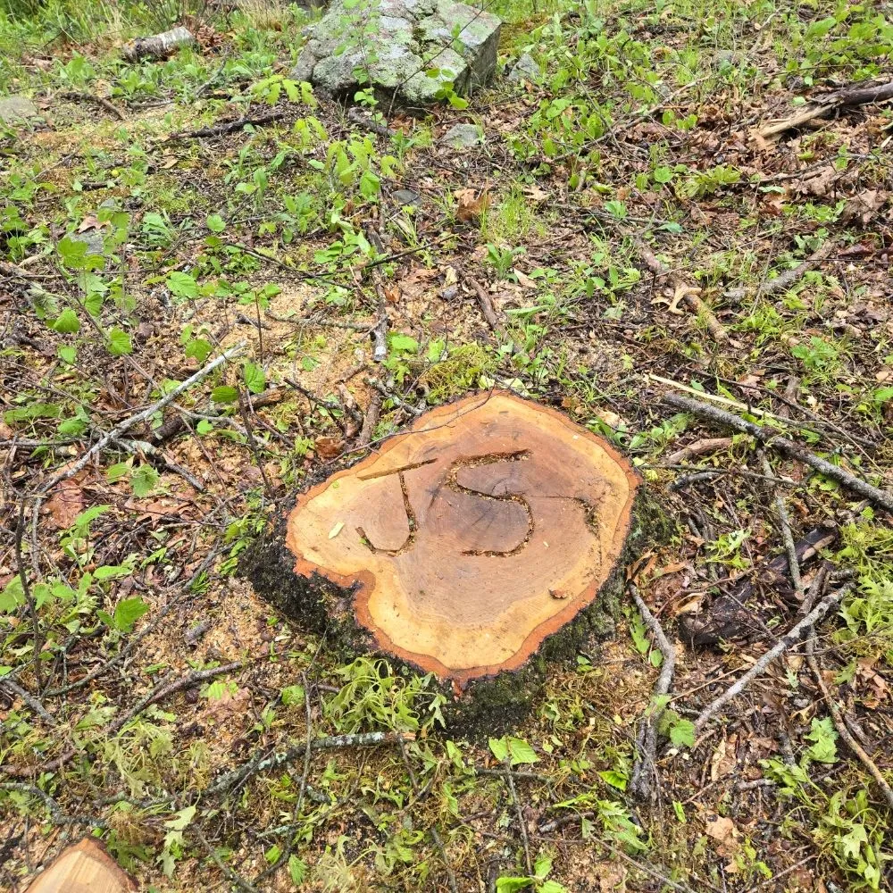 Affordable lawn mowing service for year-round maintenance in Danbury, CT by JS Landscaper