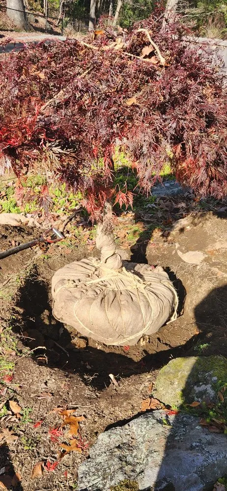 Custom landscape design experts serving Danbury, CT - JS Landscaper