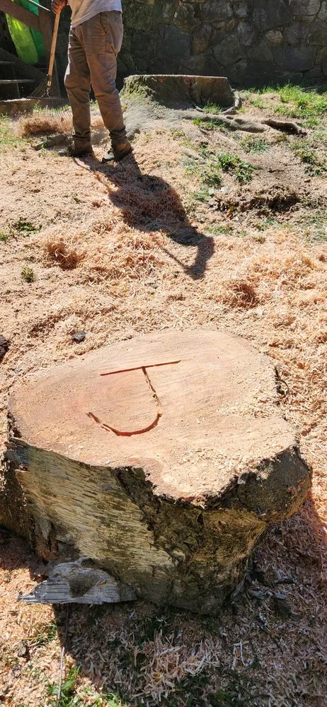 Affordable yard cleanup service for residential properties across Danbury, CT - JS Landscaper