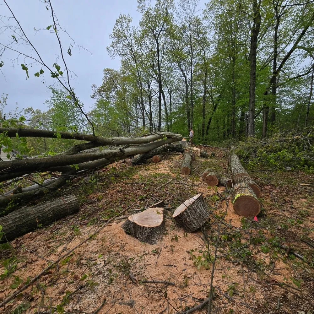 Reliable lawn care service for residential properties across Danbury, CT - JS Landscaper