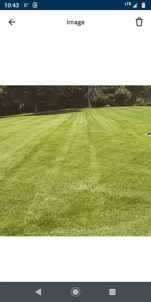 Reliable garden landscaping experts serving Paducah, KY - J&S landscaping & lawn care