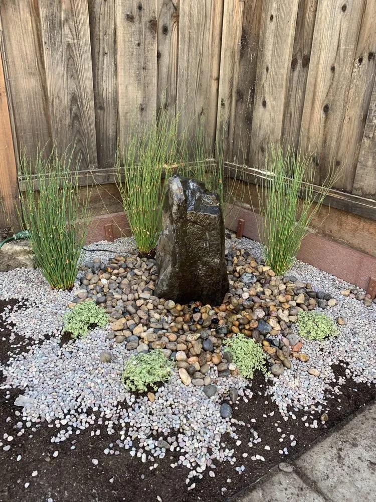 Top-rated yard cleanup service for homes across Alameda, CA - J's Landscaping