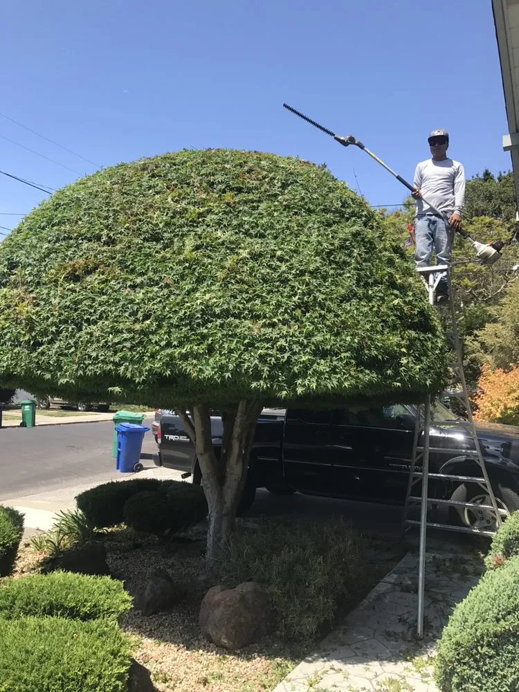 Professional garden landscaping in Alameda, CA - J's Landscaping