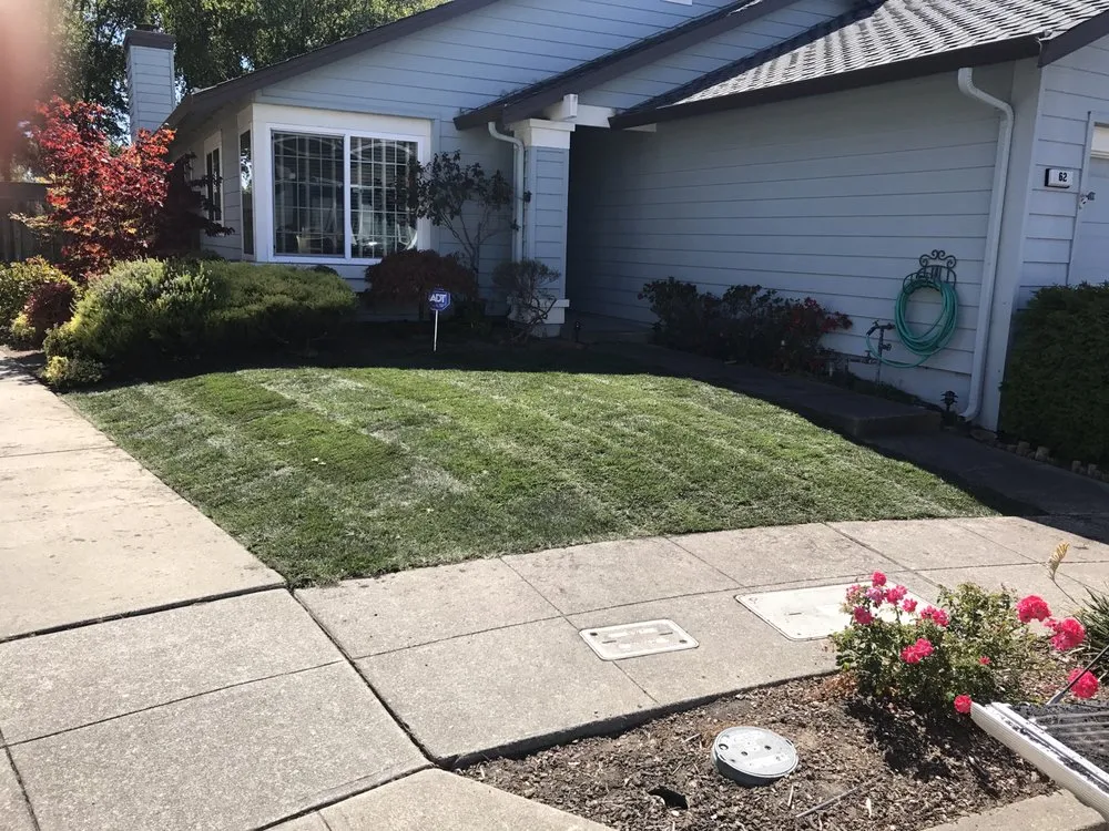 Local lawn care service in Alameda, CA by J's Landscaping