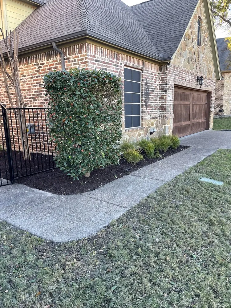Reliable yard cleanup service in Fort Worth, TX by J&S Landscaping and Construction