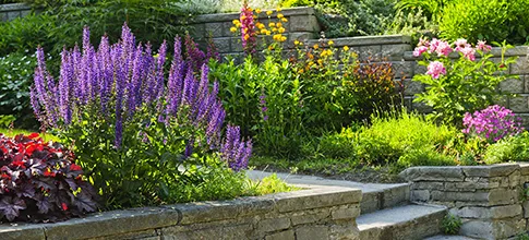 Professional landscape design for year-round maintenance across Manassas, VA - Js Landscaping and Power Wash