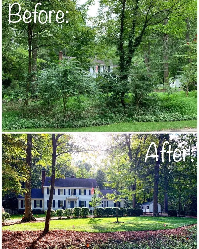 Local yard cleanup service in Homosassa, FL by J’s Landscaping and Tree Service