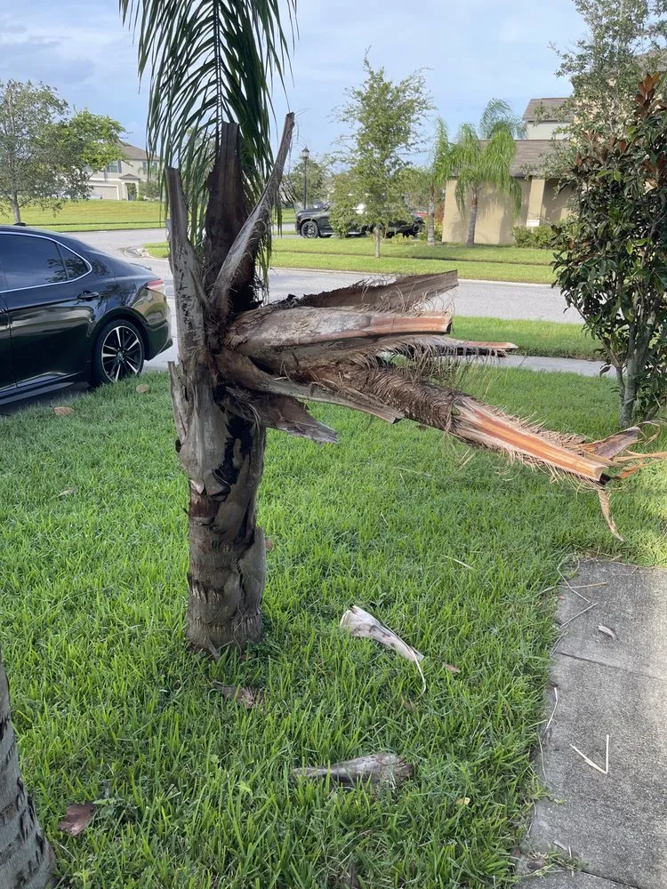 Professional landscape design experts serving Homosassa, FL - J’s Landscaping and Tree Service