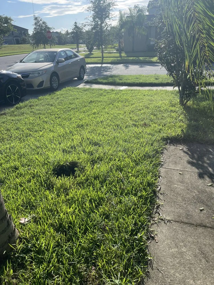 Top-rated landscape installation in Homosassa, FL - J’s Landscaping and Tree Service