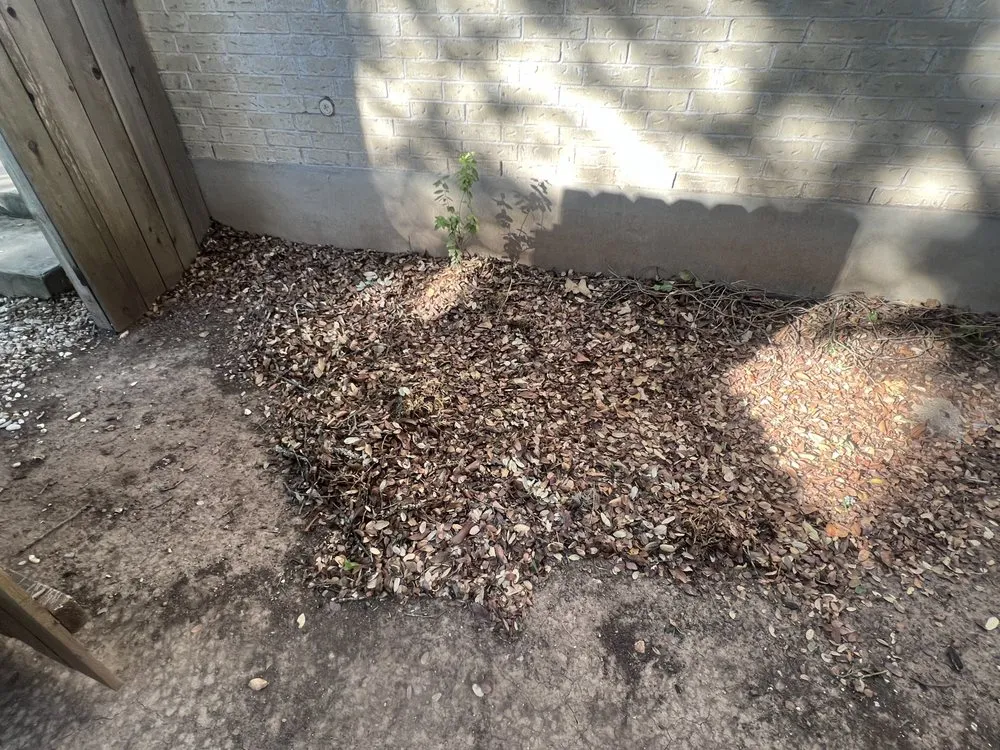 Reliable residential landscaping for year-round maintenance in Del Valle, TX by JS Landscaping