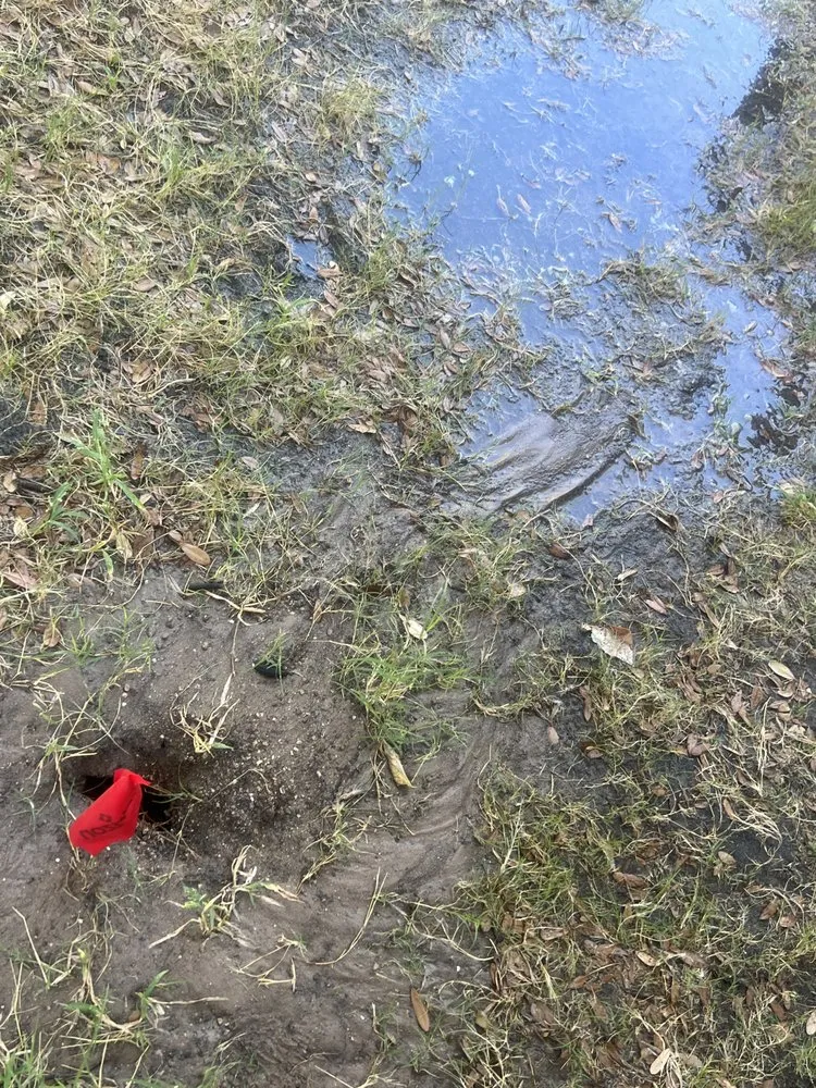 Top-rated landscape installation for beautiful yards in Del Valle, TX by JS Landscaping