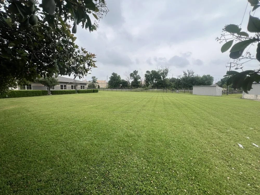 Expert lawn care service experts serving Del Valle, TX - JS Landscaping