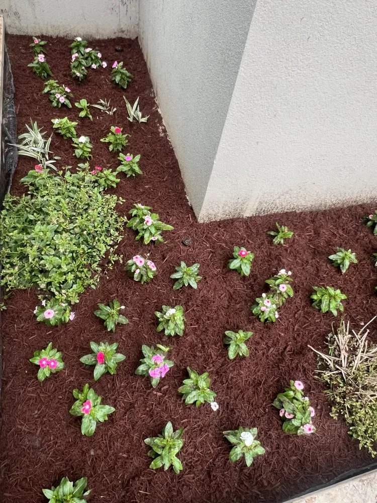 Custom yard maintenance in Del Valle, TX - JS Landscaping