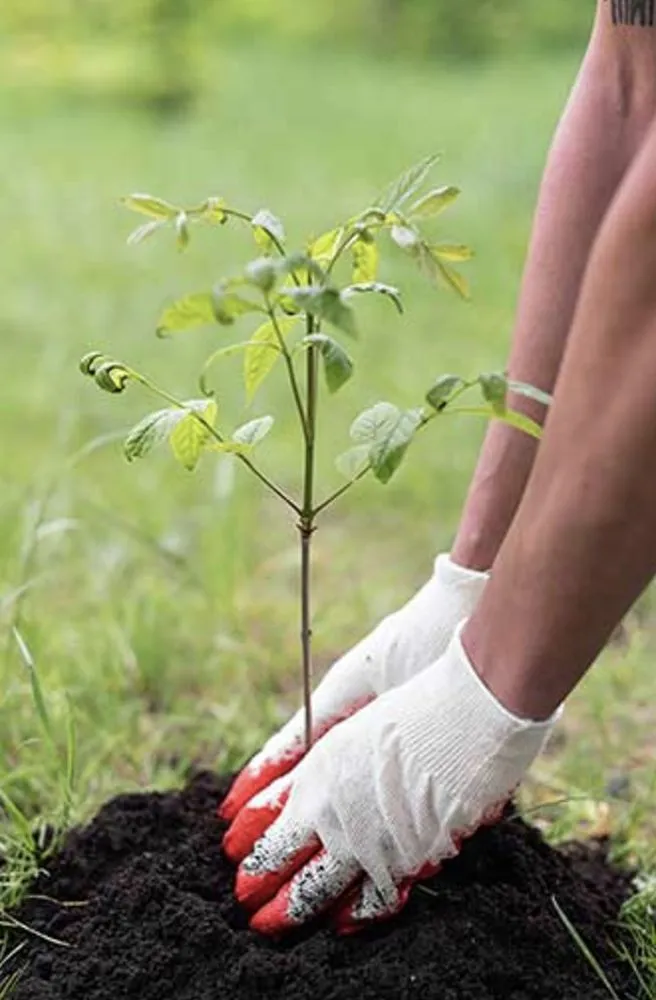 Professional lawn mowing service for beautiful yards across Harford, MD - Js Landscaping