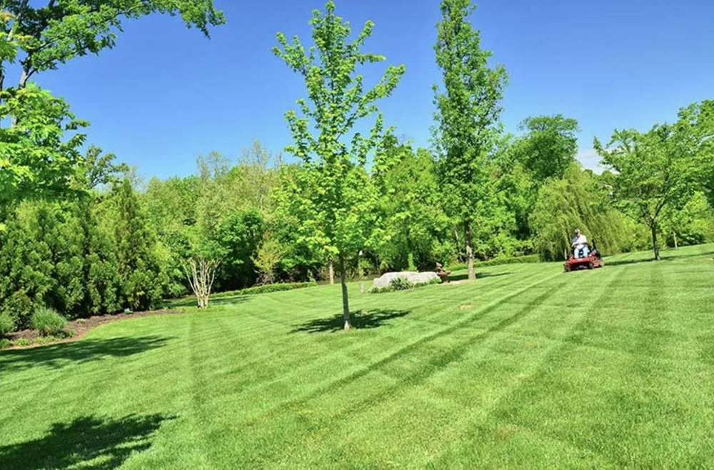 Custom lawn care service for homes in Harford, MD by Js Landscaping
