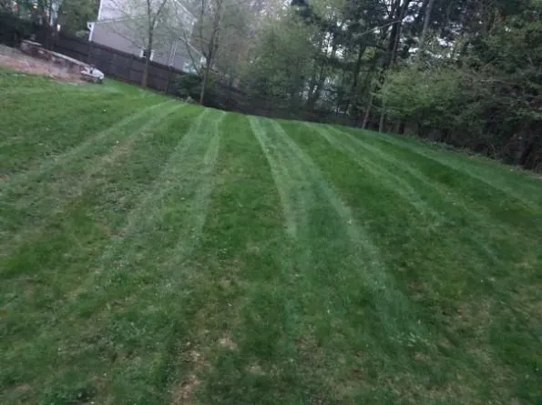 Reliable landscaping services in Hartford, CT - JS Landscaping