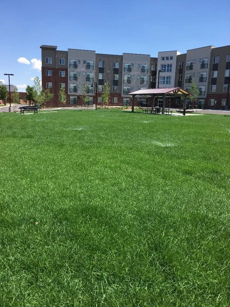 Local lawn care service in Henderson, CO by JS Landscaping