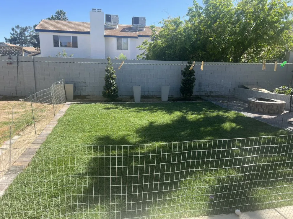 Reliable yard cleanup service experts serving Las vegas, NV - J&S Landscaping