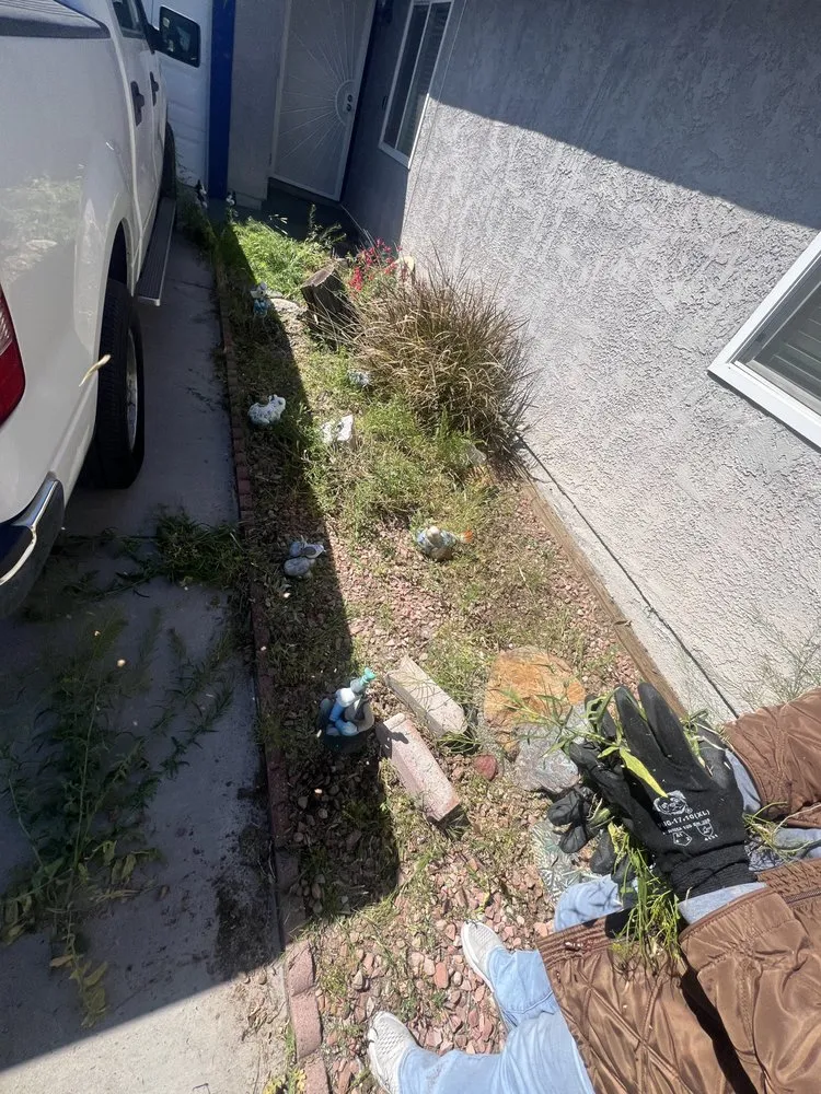 Top-rated residential landscaping in Las vegas, NV by J&S Landscaping