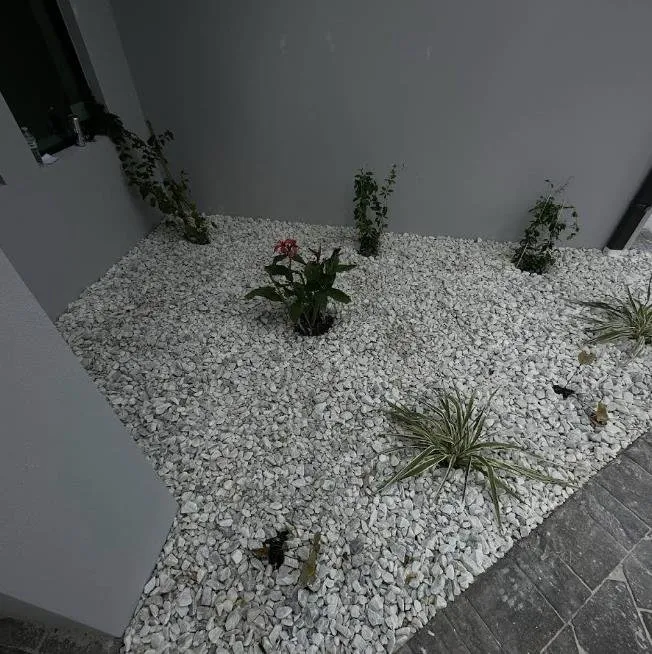 Top-rated landscaping services in North Port, FL by J's Landscaping