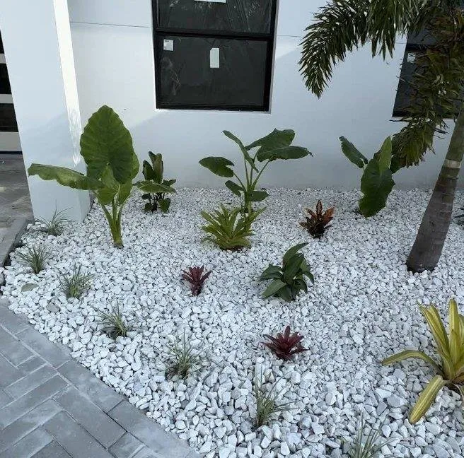 Professional landscape installation for beautiful yards across North Port, FL - J's Landscaping