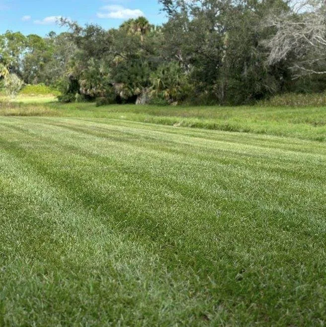 Local yard maintenance experts serving North Port, FL - J's Landscaping