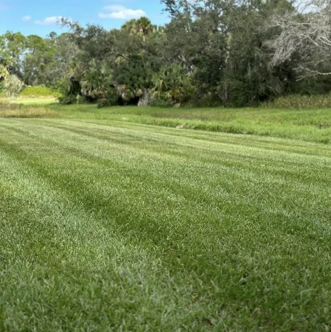 Expert garden landscaping experts serving North Port, FL - J's Landscaping