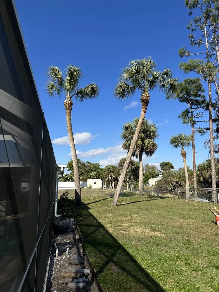 Trusted lawn mowing service for outdoor upgrades across North Port, FL - J's Landscaping