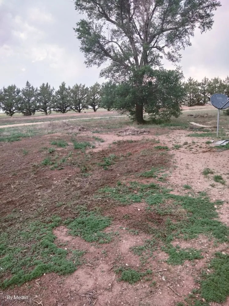 Professional residential landscaping for beautiful yards across Portales, NM - J&S Landscaping