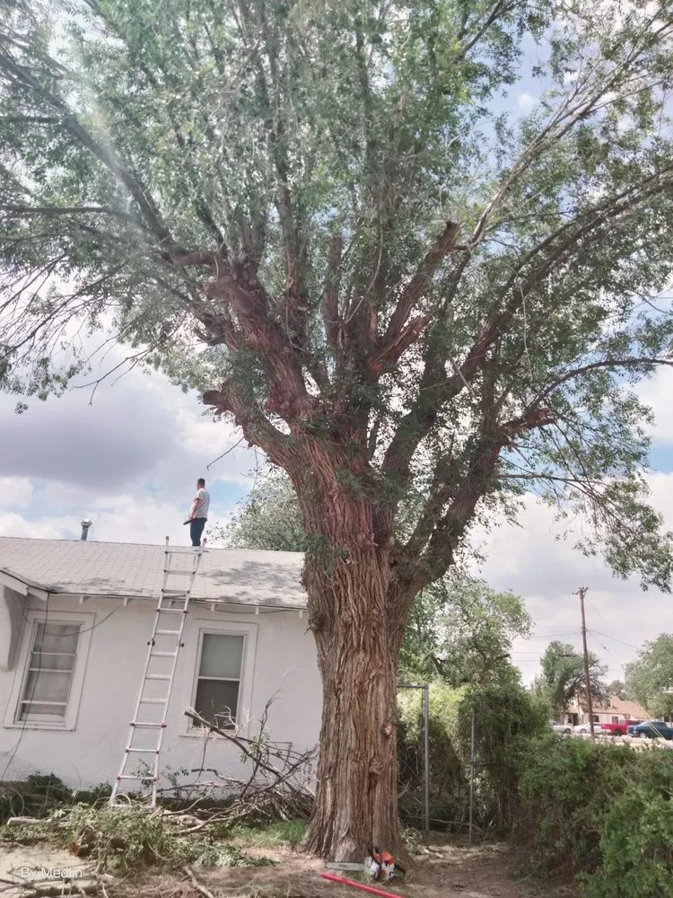 Local residential landscaping in Portales, NM by J&S Landscaping