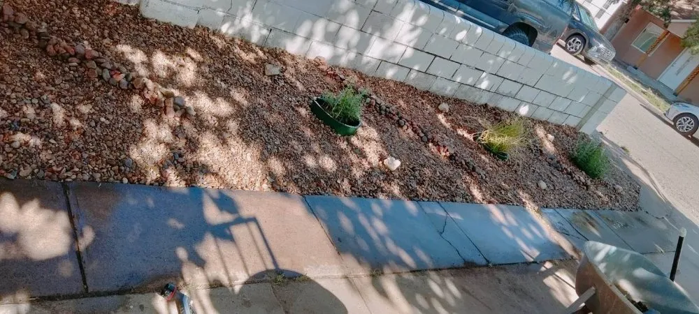 Affordable residential landscaping experts serving Portales, NM - J&S Landscaping