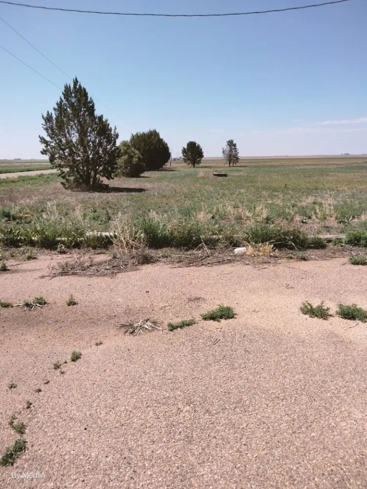 Trusted landscaping services for outdoor upgrades across Portales, NM - J&S Landscaping