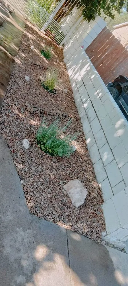 Professional yard maintenance for residential properties across Portales, NM - J&S Landscaping