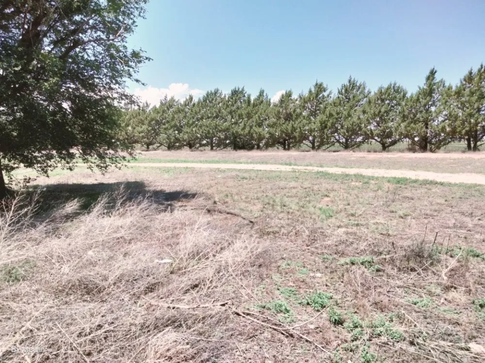 Expert landscaping services in Portales, NM by J&S Landscaping