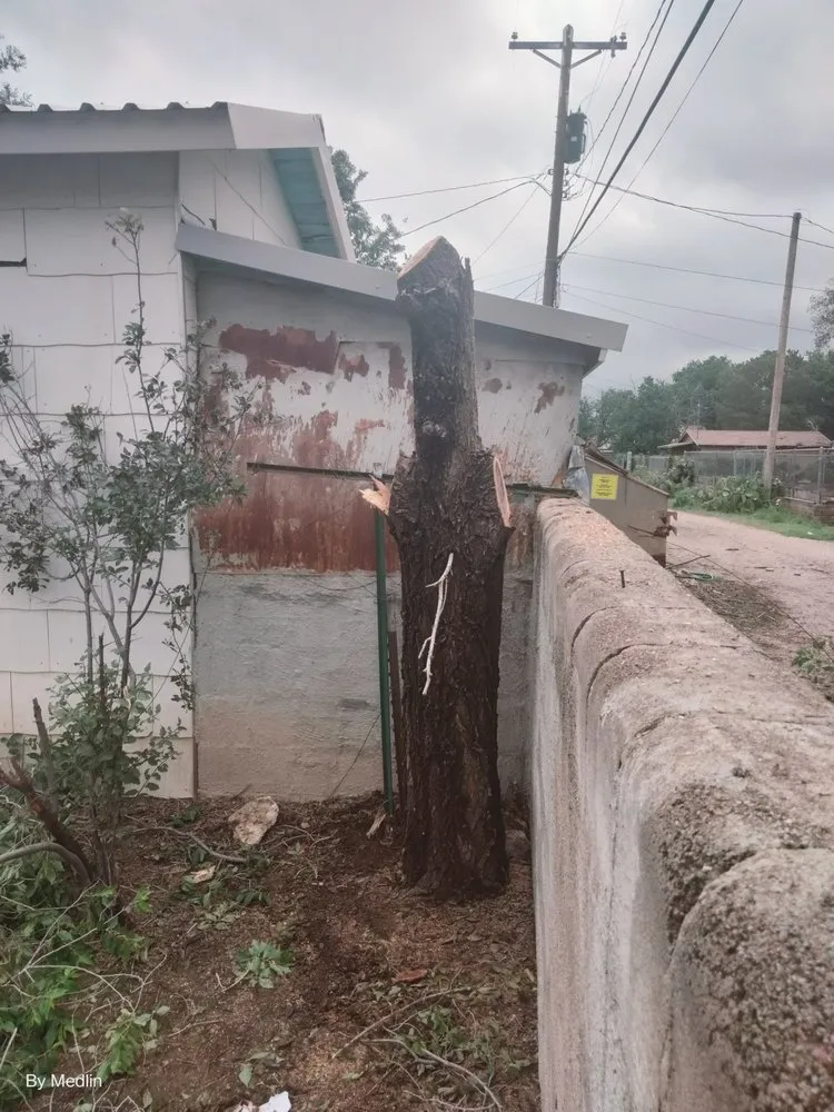 Affordable landscape installation with custom design in Portales, NM by J&S Landscaping