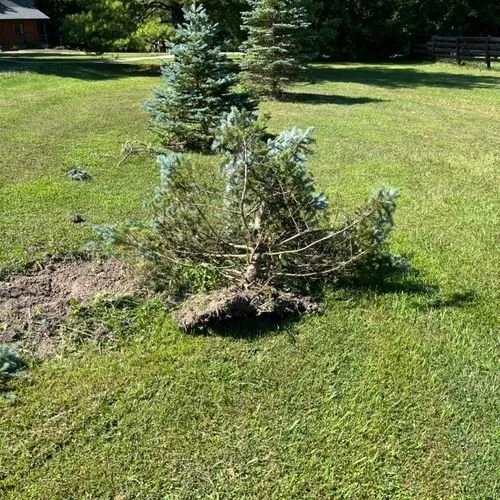 Local garden landscaping experts serving Powell, OH - JS Landscaping