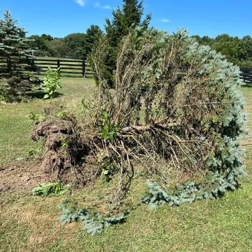 Custom garden landscaping in Powell, OH - JS Landscaping